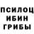 Псилоцибиновые грибы мицелий Roman Melekhovets