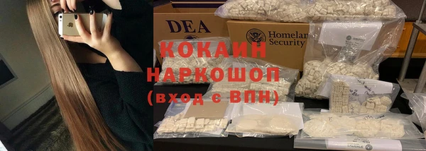 прущие крисы Каменка