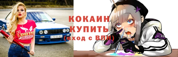 прущие крисы Каменка
