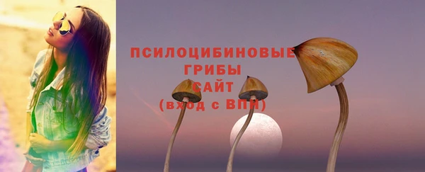 прущие крисы Каменка