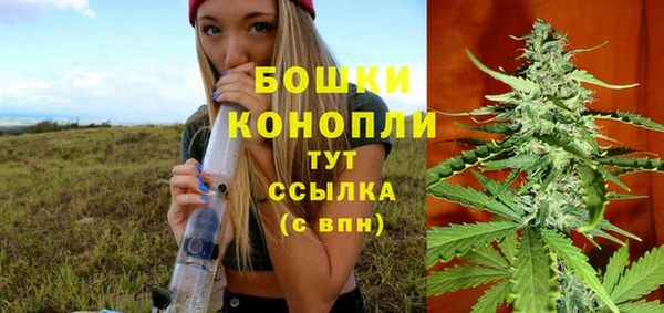 прущие крисы Каменка