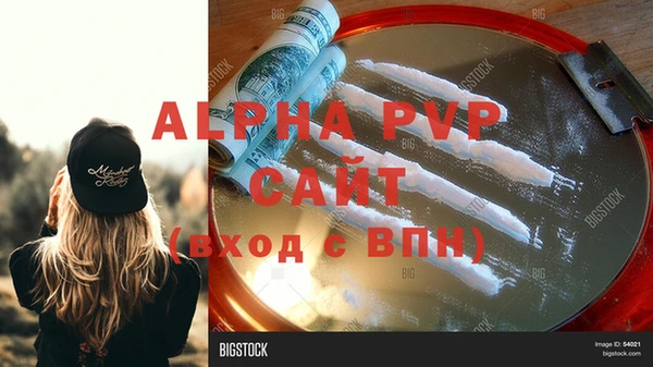 прущие крисы Каменка