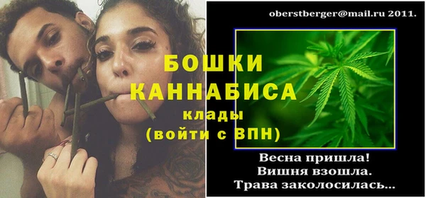 прущие крисы Каменка